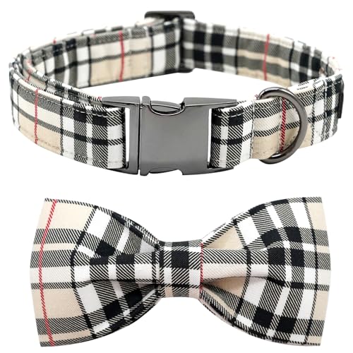 Bobo C{[ {E hbO  iq ybg  L[g ybg {E \tg ̎q j̎q   ^obNt ߉\ ^