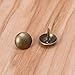 100Pcs Antique Bronze Furniture Decorative Nails Assortment Thick Pushpin Hobnail Upholstery Tacks Doornail Hardware