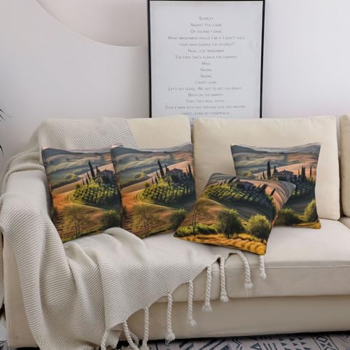 Housses de coussin décoratives pour canapé : transformez votre salon facilement - 2