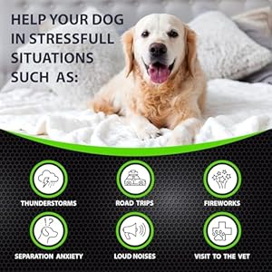 Hempcalmingchewsfordogswithanxietyandstress170dogcalmingtreatsstormsbarkingseparationvalerianrootmelatoninhempoildoganxietyreliefmadeinusasoftchews Urban Country Home Decor Hemp calming chews for dogs with anxiety and stress 170 dog calming treats storms barking separation valerian root melatonin hemp oil dog anxiety relief made in usa soft chews urban country home decor