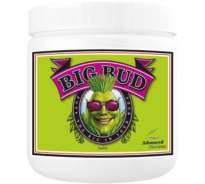 Advanced Nutrients Big Bud Powder - 500G