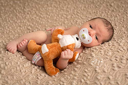 Image of Nookums Paci-Plushies Shakies - Pacifier Holder with Built in Rattle (2 in 1)- Adapts to Name Brand Pacifiers, Suitable for All Ages, Plush Toy Includes Detachable Pacifier (Bull Dog)