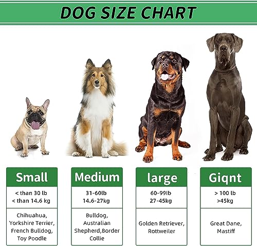 Image of Pamlulu Christmas Dog Gifts, Dog Toys for Small Dogs Dog Toothbrush for Teething Cleaning, Rubber Squeaky Toys for Puppy