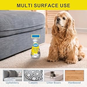 Carbona Oxy Powered Pet Carpet Cleaner Stain Remover Microfiber Towel– 22fl oz Pet Stain and Odor Remover with Active Foam Technology – Carpet Cleaner Spray for 2 in 1 Stain Removal Carbona Oxy Powered Pet Carpet Cleaner Stain Remover Microfiber Towel– 22fl oz Pet Stain and Odor Remover with Active Foam Technology – Carpet Cleaner Spray for 2 in 1 Stain Removal