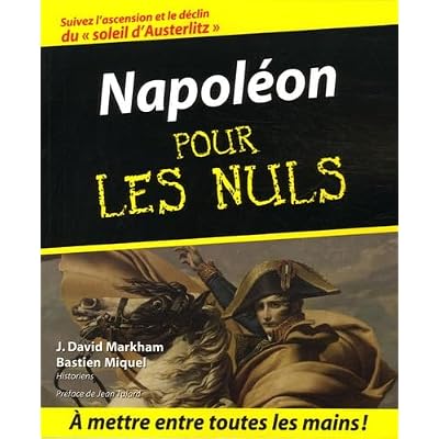 Napol&eacute;on pour les nuls