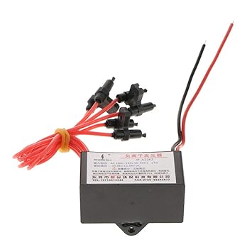 RANDWICK Air Purifier Ionizer Negative Ion Anion Generator Purifier Cleaner Car 6Head