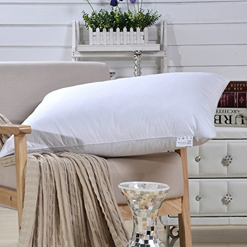 Forevergreen Home 100% White Goose Down Firm Pillow,700 Fill Power 38.8 Oz White Goose Down Pillows,Size 18.9"X 29"(48X74Cm), #TOP3