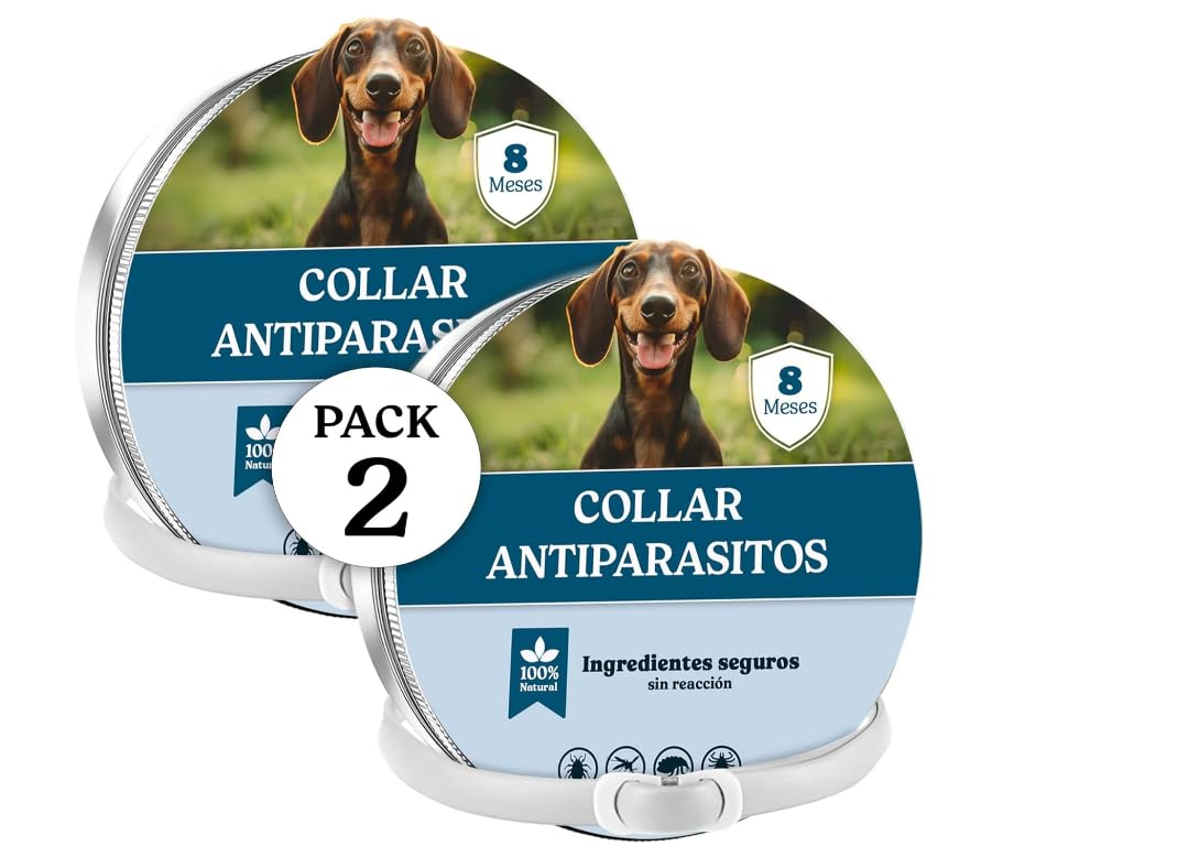 Collar Antipulgas Perros - Collar Antiparasitario - Leishmaniosis (Mosquitos), Pulgas y Garrapatas - 8 Meses - 63cm Ajustable, Repelente 100% Natural, Impermeable (Pack 2)