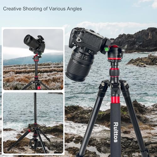 Image of Travel Tripod, 70 inch Camera Tripod Monopod with Ball Head Lightweight Aluminum Portable for DSLR /SLR Cameras, Video Camcorders, Action Cameras, Phones, Telescopes...8.8lbs (TM70-LB36)