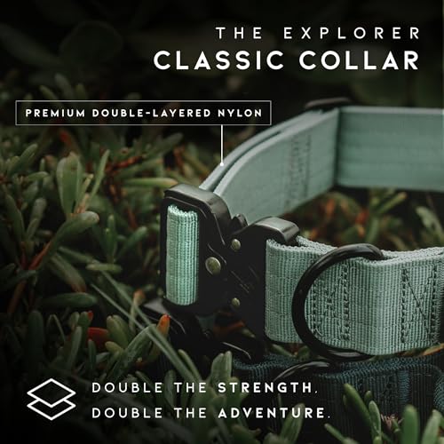 Made to ROAM Premium Dog Collar - Adjustable Heavy Duty Nylon Collar with Quick-Release Metal Buckle (Maine Marina, Classic Size 3) #2