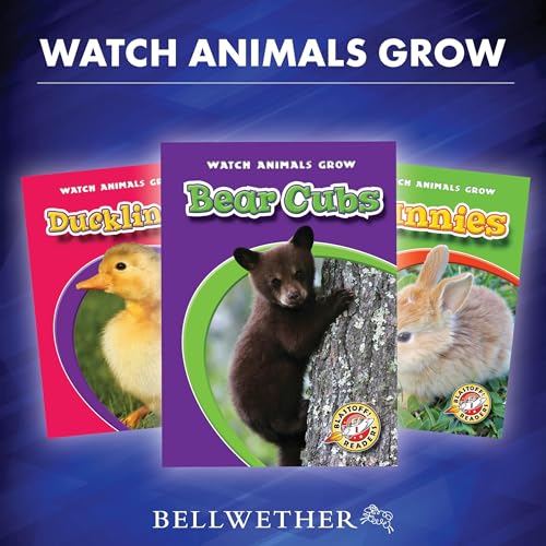 Watch Animals Grow by various episode artwork