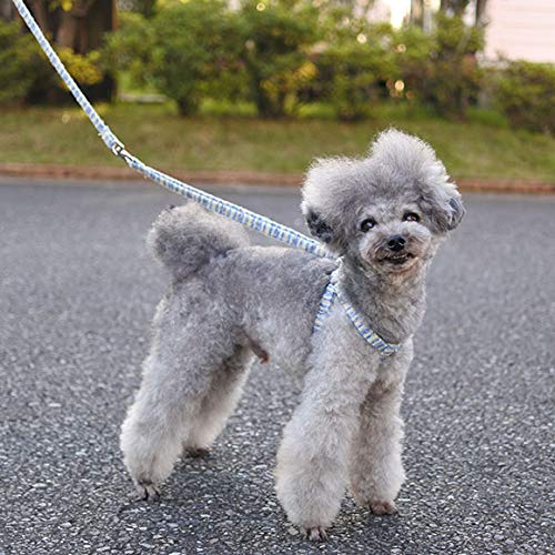 犬用ハーネスおすすめ23選 おしゃれでかわいい人気ブランドも 簡単装着 マイナビおすすめナビ