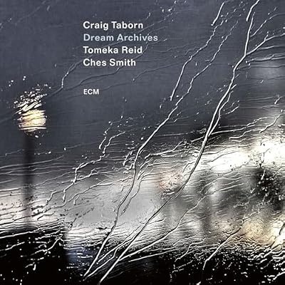 Craig Taborn; Tomeka Reid; Ches Smith: Dream Archives