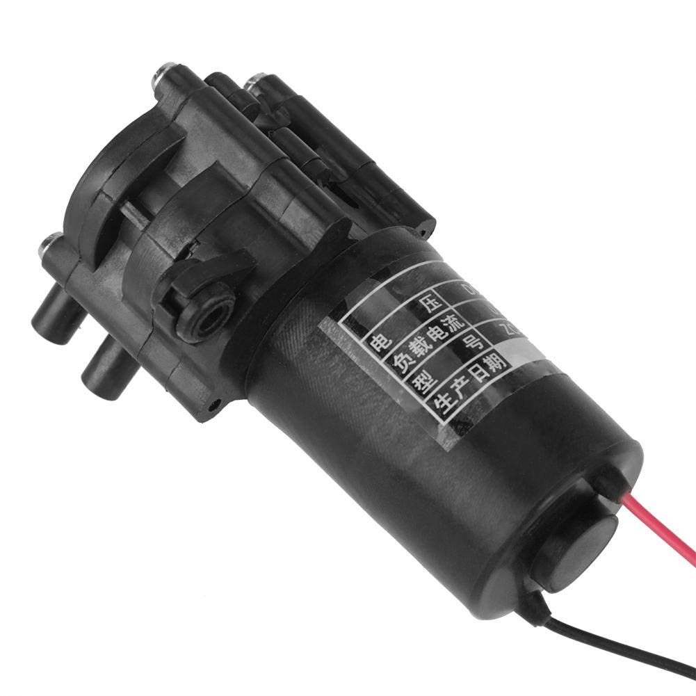 Estink Pompa Autoadescante 12V Mini ZC-A210 con Ingranaggi in Rame