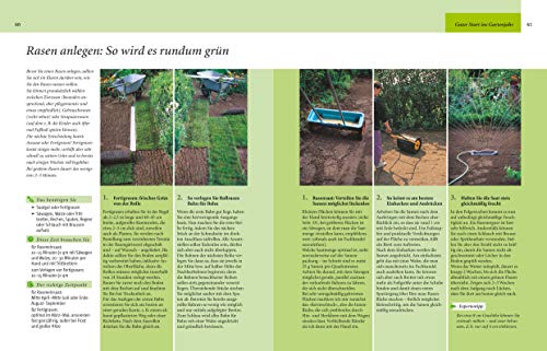 Gartenjahr für Einsteiger: Schritt für Schritt zum grünen Paradies - 5