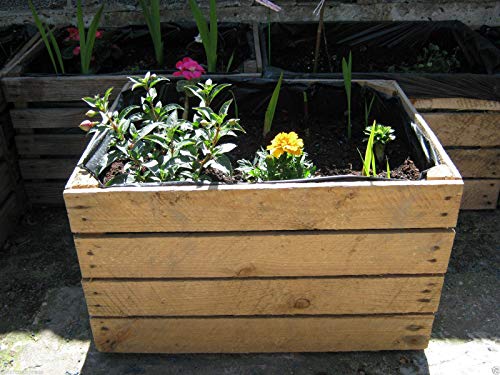 1 x PLANTER Vintage Rustic European Wooden Apple Crates,Wood