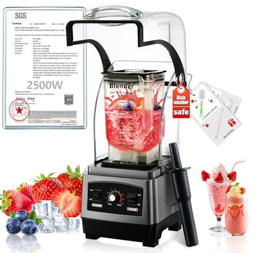 Commercial Blender 2500W German Motor