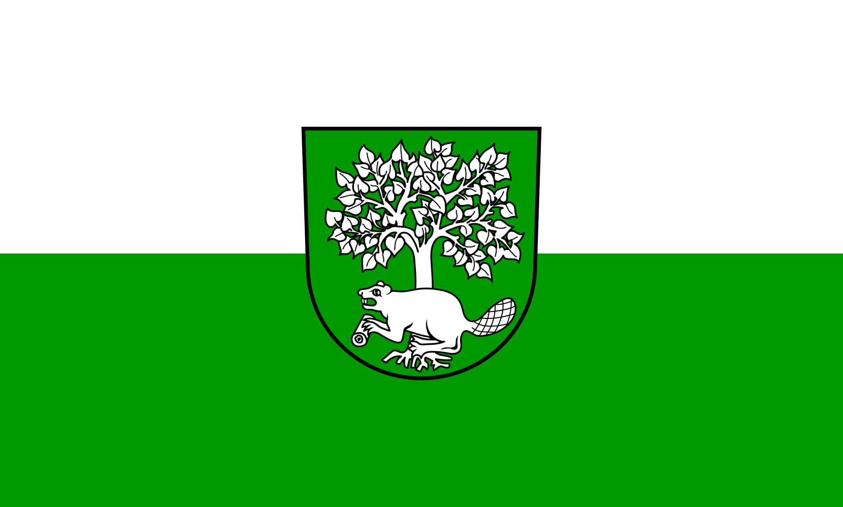 Drapeau Biberach 90x150cm idéal pour décorer vos fêtes locales