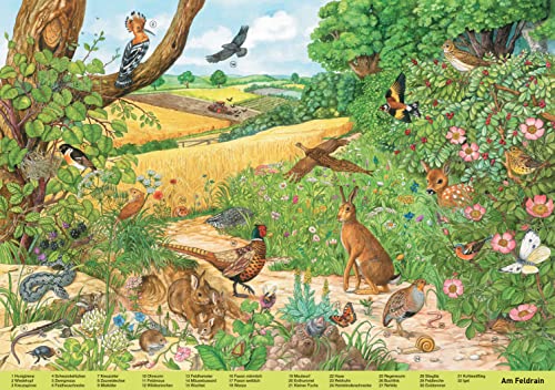 Mein großes Wimmelbuch Tiere. Liebevoll illustriert von Anne Suess: Verschiedene Tiere auf der ganzen Welt im Bilderbuch finden und kennenlernen. Für Kinder ab 3 Jahren (Wimmelbücher)