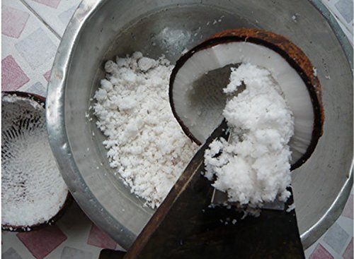 Ni_Orn Coconut Grater Scraper With Screw Thai Teeth Tool Stainless Steel Grater Kitchen New #TOP5