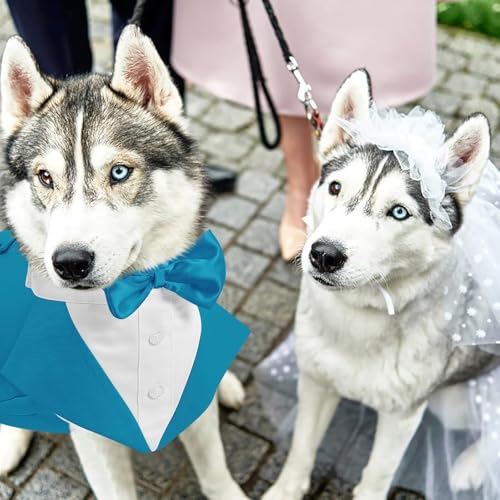 AOFITEE Hunde-Smoking mit Halstuch, Hunde-Kostüm für Hochzeit, Weihnachten, Halloween, mit Kragen mit abnehmbarer Fliege, für große Hunde