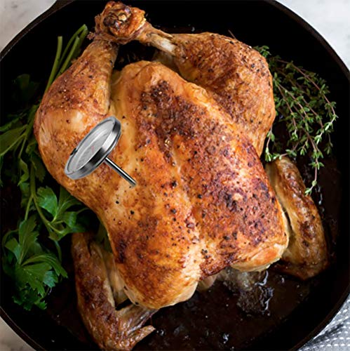 Home Basics, Silver (1 Instant Read Large Stainless Steel Mechanical Meat Thermometer, 2.5" X 2.5" X 5.25" #TOP5