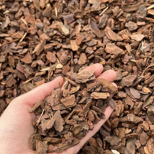 Premium Orchid Bark Substrate - Fine Grade, 8-15mm, Repotting Bark Soil Compost Mix (1L)