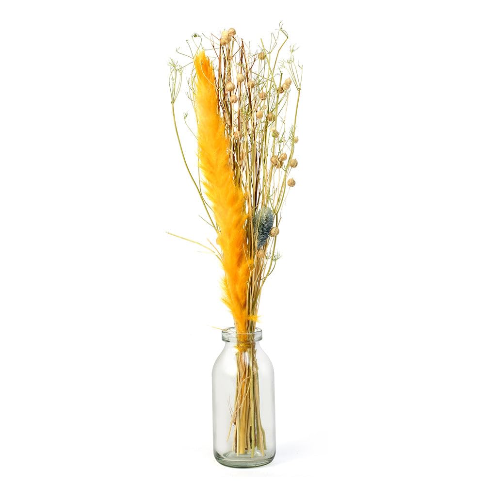 @home Arias Decorative Glass Vase with Dry Flowers for Home Decor Living Room, Bedroom in Transparent and Yellow Colours by Nilkamal 2