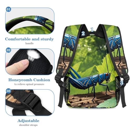 Sac à dos ergonomique et trousse cricket pour ne plus manquer de place au collège - 4