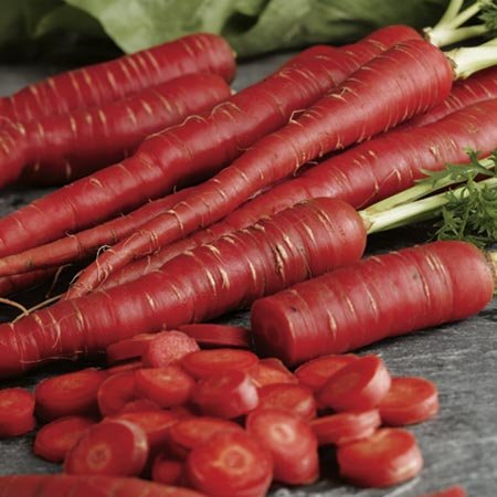 Biocarve Carrot Seeds Red Long - Pack of 100 seeds (B01ASWPKI6) Amazon Price History, Amazon Price Tracker