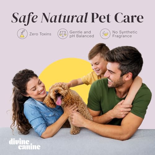Image of Dog Paw Cleaner Spray - Aloe No-Rinse Paw Wash - 5.1 Fl Oz | Alcohol-free aloe dog paw cleaner spray with copaiba & lemongrass to clean muddy paw pads after walks - no rinse, USA