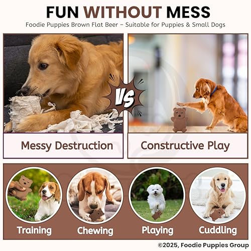 Image of Foodie Puppies Dog Squeaky Chew Latex Rubber Toy - (Brown Flat Beer) for Small Dogs & Puppies | Durable, Soft, Animal Design, Fetch & Chew Safe Play Toy | Reduce Separation Anxiety