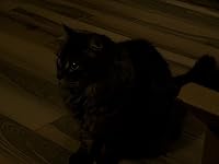 Review Image by Gen Gen