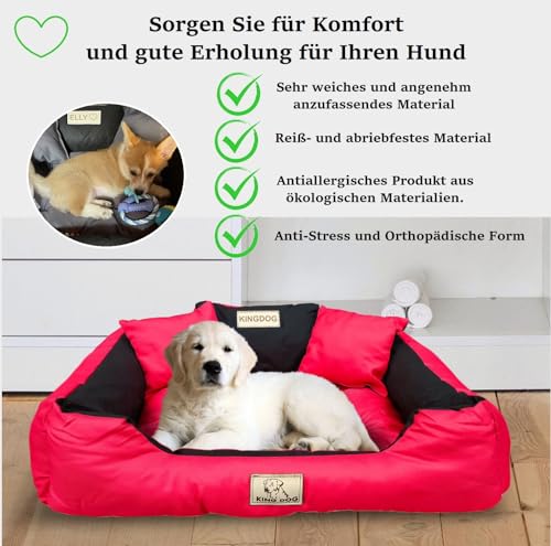 KING DOG Hundebett Kleine Hunde Waschbar Orthopädisches S 55 x 45 cm Hundekissen Haustierbett Hundekorb Hundecouch mit Hohem Rand Wasserdicht Material Silikon Füllung Rot