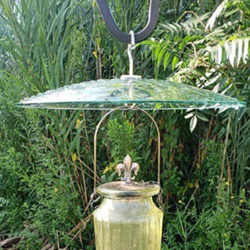 Dôme protection transparent mangeoire oiseaux haut de gamme 33cm