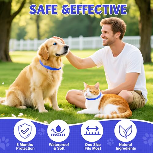 2 Pcs Floh Zeckenhalsband für Katzen & Hunde | Bis zu 16 Monate Langzeitschutz | Natürlicher Floh- und Zeckenschutz | Wasserdichter Verstellbares (Blau, Universal)