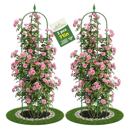 2 Pack Garden Obelisk Trellis for Climbing Plants, 6 FT Metal Rustproof Plant Support Rose Trellis, Tower Potted Cages for Flowers Fruits Vegetable Vines Indoor & Outdoor, Green(4 Tiers)