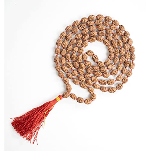 See full amazon price history chart for Trideva Blessings 3 Mukhi Rudraksha Mala - 108+1Beads - Lab Certified Trideva Blessings 3 Mukhi Rudraksha Mala - 108+1Beads - Lab Certified (B09NNQYQPF) Amazon Price History, Amazon Price Tracker