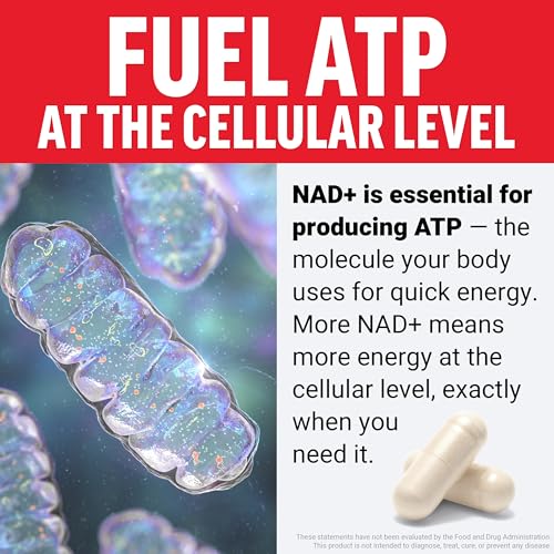 Image of Force Factor NMN Supplement, Nicotinamide Mononucleotide to Support Healthy Aging and Energy Metabolism, Boosts NAD+ Levels, No Gelatin, Non-GMO, 30 Vegetable Capsules