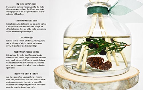 Lovspa LOVPSA-DIF-WINTER-FOREST-COASTER Winter Forest Pine Reed Diffuser Gift Set | Juniper Berries, Sandalwood & Cedar Notes | Made With Real Botanicals + Wooden Coaster thumb #2