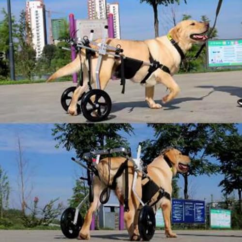 Silla de ruedas para perros con debilidad trasera y soporte de cadera ajustable 2