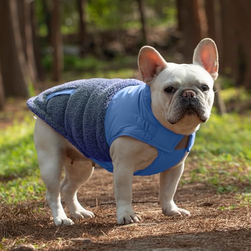 SGSPET Hunde-Wintermantel, Warmes Polsterfleece, Weste mit Geschirr, Wasser-Winddicht, reflektierend, bequem, verstellbar, für kleine/mittel Hunde (Blau, XS(Chest 32cm))