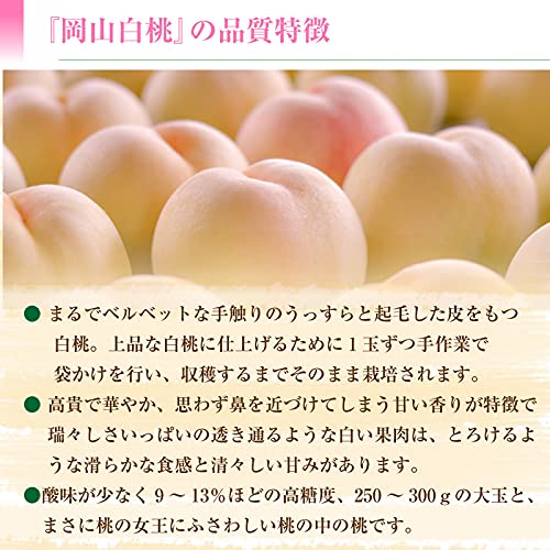 Amazon.co.jp: 岡山白桃 ロイヤル等級 清水白桃 2kg 5-6玉 白麗 白皇