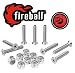 Fireball Dragon Stainless Steel Skateboard Hardware Set (Flat Phillips, 1.25")