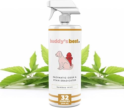 Buddy's Best Eliminador de olores de orina para mascotas y removedor de manchas de mascotas, menta de bambú, removedor enzimático de olor de orina