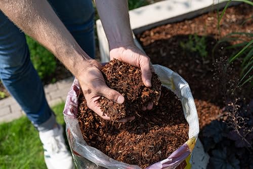 Floragard Mulch Pinienrinde 2-8 mm 20 L - superfein - dekorativer Bodenbelag - unterdrückt Unkrautwuchs - naturbelassen - für mediterranes Flair - auch zur Kübel-Abdeckung