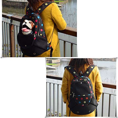 Homieco Zaino per Cucciolo e Gattino, Borsa da