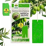 Albagarden - Trappola Cromotropica Verde Per Mosca Dell’olivo - Trappola Adesiva Senza Veleno, Fogli Cattura Insetti, Protezione Per Uliveti E Agricoltura Biologica - 5 Pannelli Appiccicosi