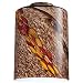 Westinghouse Lighting Corp 8140000 2-1/4-Inch Wildfire Glass Shade