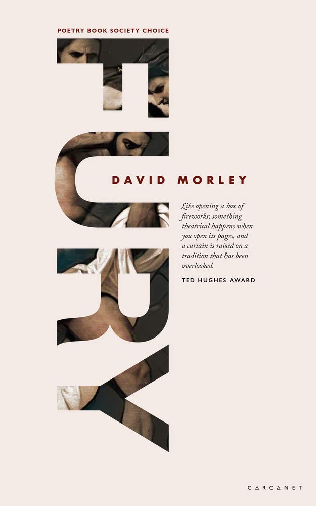 FURY by David Morley (Paperback Book)